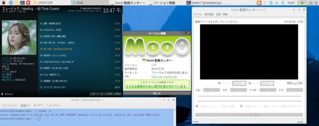 Raspberry pi 5 で使用する「x86_64」版Moo0 動画カッター 1.17