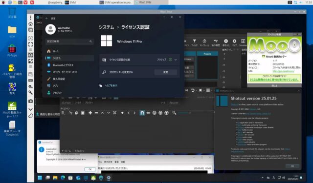 BVM版Windows11Arm機はライセンス認証済