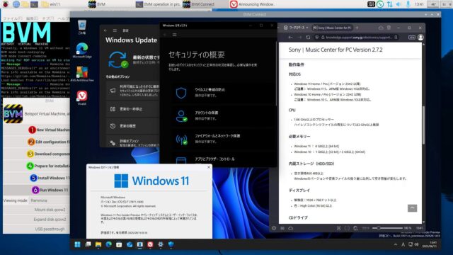 BVM版仮想Canary build 27813.1000