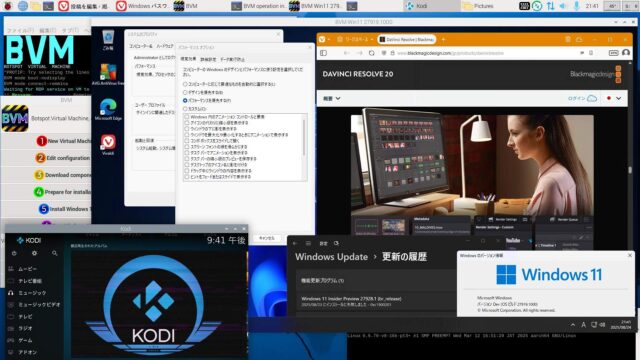 仮想BVM Windows11 build 27919.1000のパフォーマンスオプション
