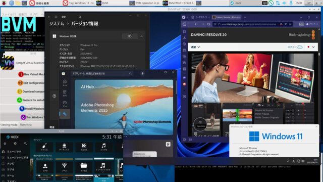 BVM版 aarch64 Windows11 canary build 27928.1000