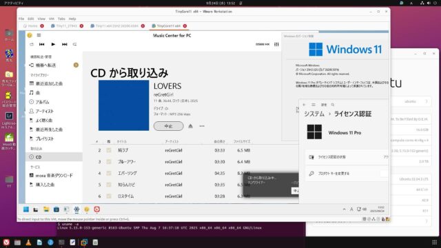 x64 VMware:TinyCore11 Windows 25H2 26200.5074