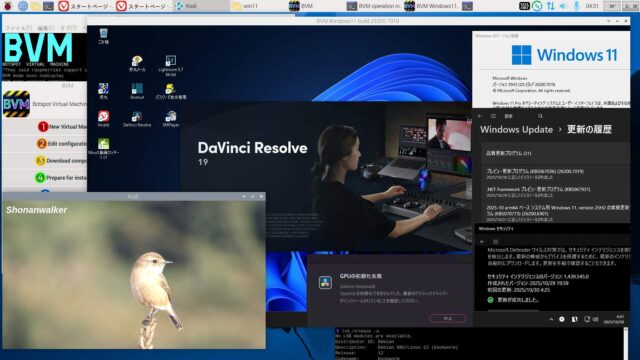 BVM版 aarch64 BVM Windows11 build 26200.7019 Full機能版
