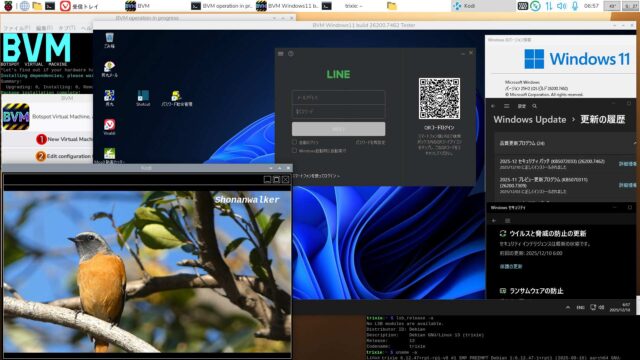 BVM Windows11 25H2 build 26200.7462 Defender Full機能テスト版