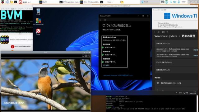 BVM Windows11 26H1 build 28000.1340 AVG版