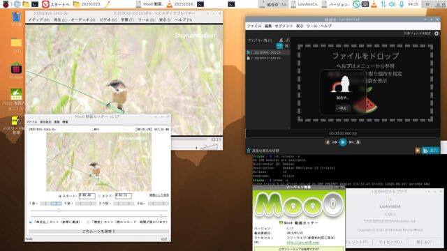 Moo0とLosslesscutでの動画カット・ペーストは無劣化高速