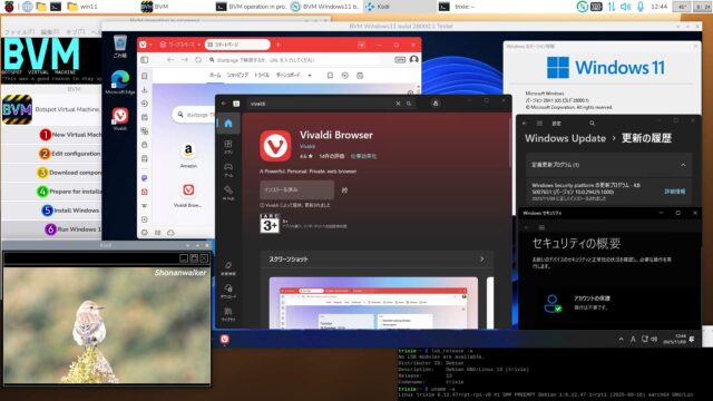 BVM Windows11 Canary 26H1 build 28000.1