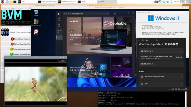 BVM Windows11 Canary 26H1 build 28000.1199