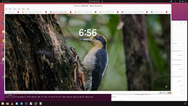VMware x64 Windows11 25H2 build 26200.6584:Update固定版2026