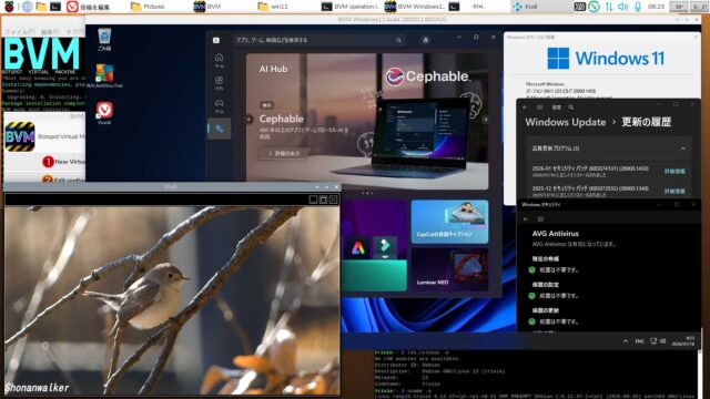 BVM Windows11 26H1 build 28000.1450 AVG版