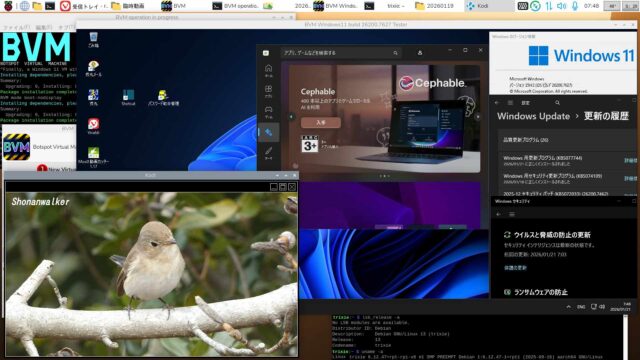 BVM Windows11 25H2 build 26200.7627 Defender Full機能テスト版2026