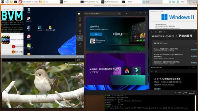 BVM Windows11 25H2 build 26200.7705 Defender Full機能テスト版2026