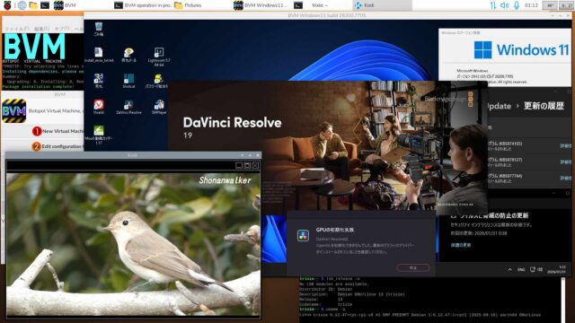 BVM Windows11 25H2 build 26200.7705 Defender Full機能版2026