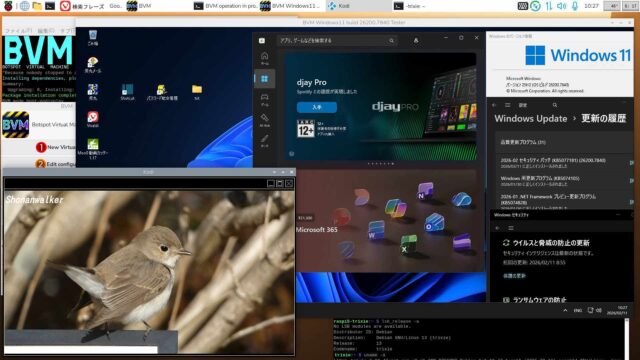 BVM Windows11 25H2 build 26200.7840 Defender Full機能テスト版2026