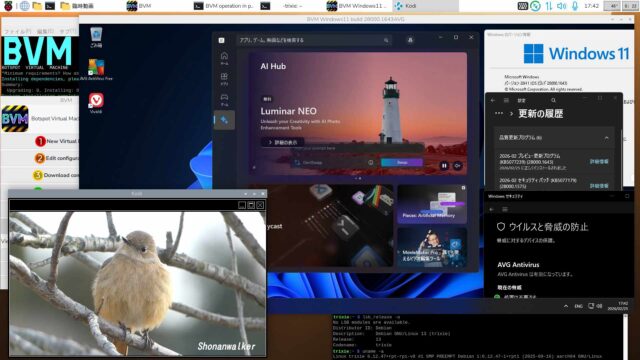 BVM Windows11 26H1 build 28000.1643 AVG版 2026