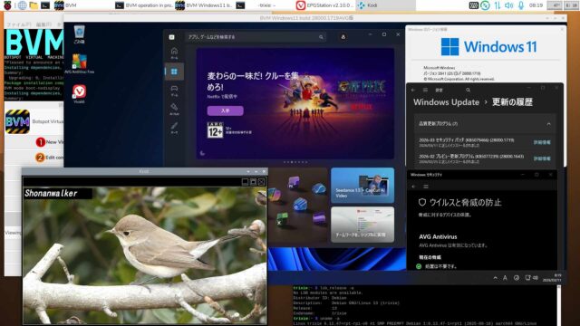 BVM Windows11 26H1 build 28000.1719 AVG版 2026