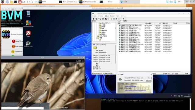 BVM Windows11では使用を諦めた【Virtual CD-ROM Case】