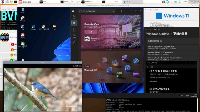 BVM Windows11 25H2 build 26200.8039 Defender Full機能Test版2026
