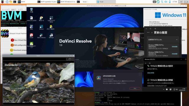 BVM Windows11 25H2 build 26200.8116 Defender Full機能Test版2026