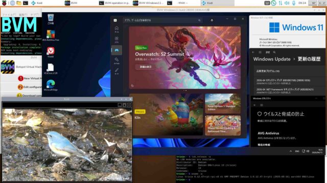BVM Windows11 26H1 build 28000.1836 AVG版 2026