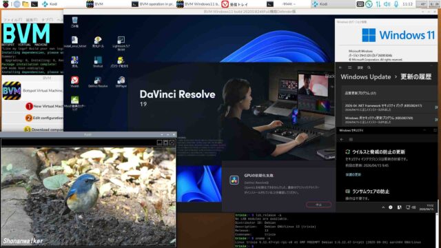 BVM Windows11 25H2 build 26200.8246 Defender Full機能版2026