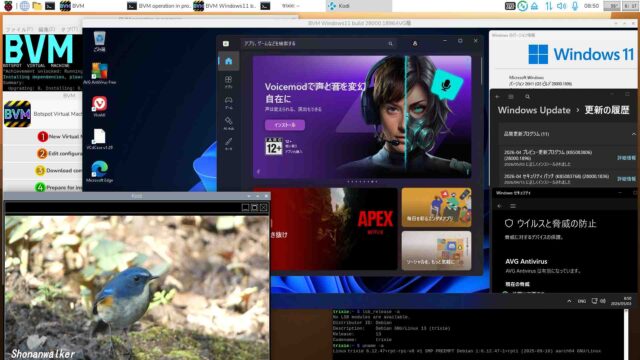 仮想Windows11 Canary 26H1 build 28000.1896 2026